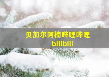 贝加尔阿楠哔哩哔哩 bilibili